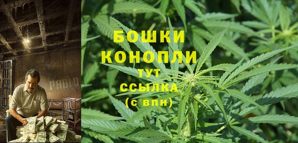 дживик Арсеньев