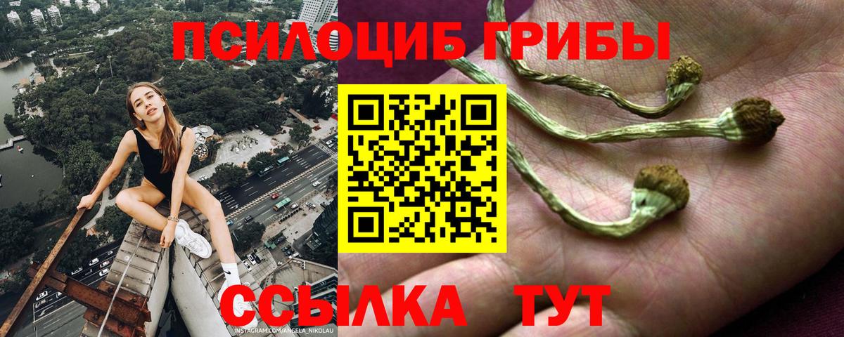 Псилоцибиновые грибы ЛСД  Галлюциногенные грибы Psilocybe  Вход с VPN  Сатка 